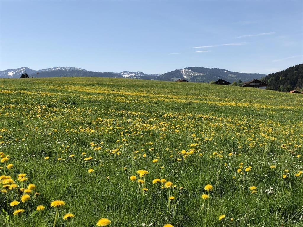 Ferienwohnungen Britta Heim Oberstaufen Bagian luar foto