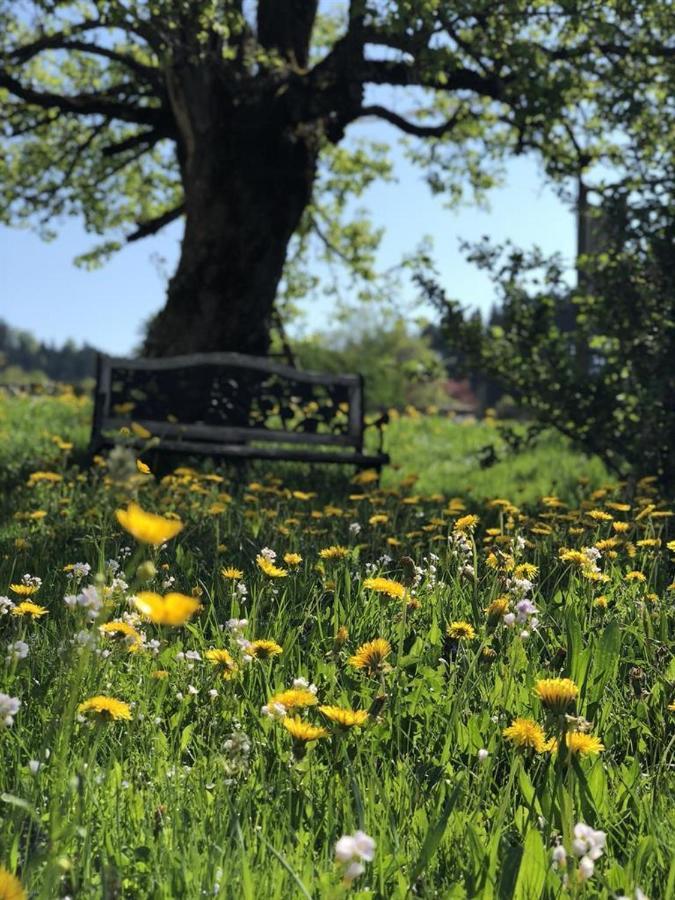 Ferienwohnungen Britta Heim Oberstaufen Bagian luar foto