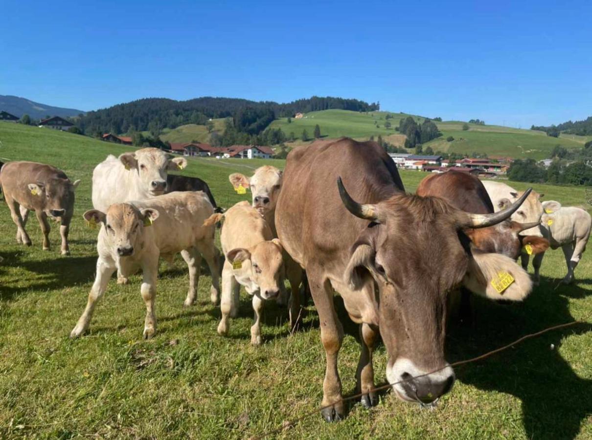 Ferienwohnungen Britta Heim Oberstaufen Bagian luar foto